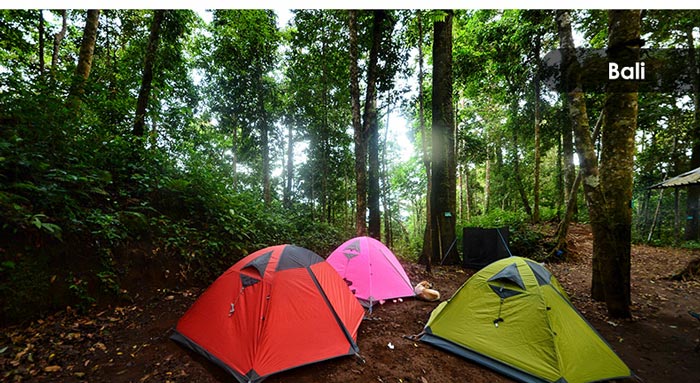 Outdoor Equipment Windproof And Rainstorm Proof Three Person Camping Tent